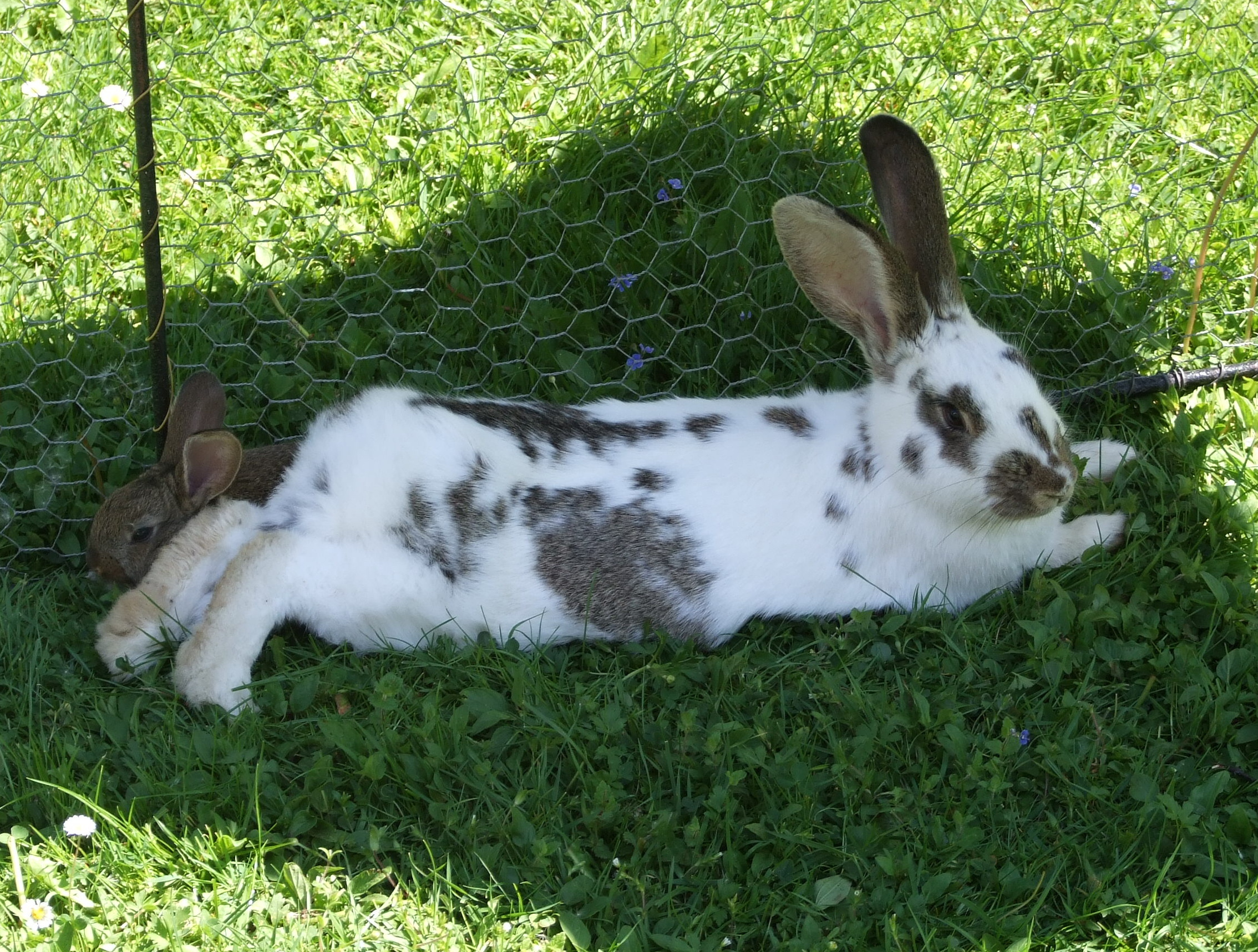 Relax ve stínku