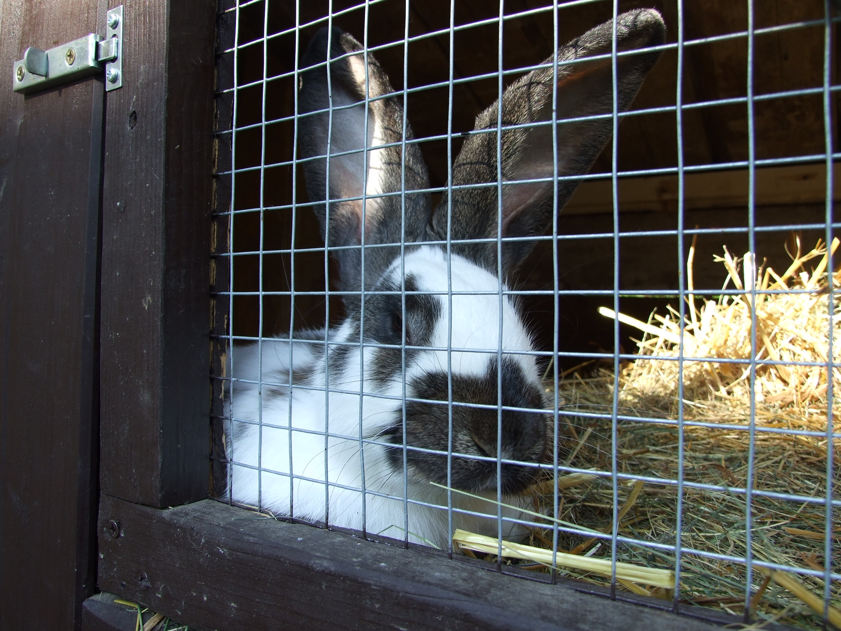 DSCF7133.JPG