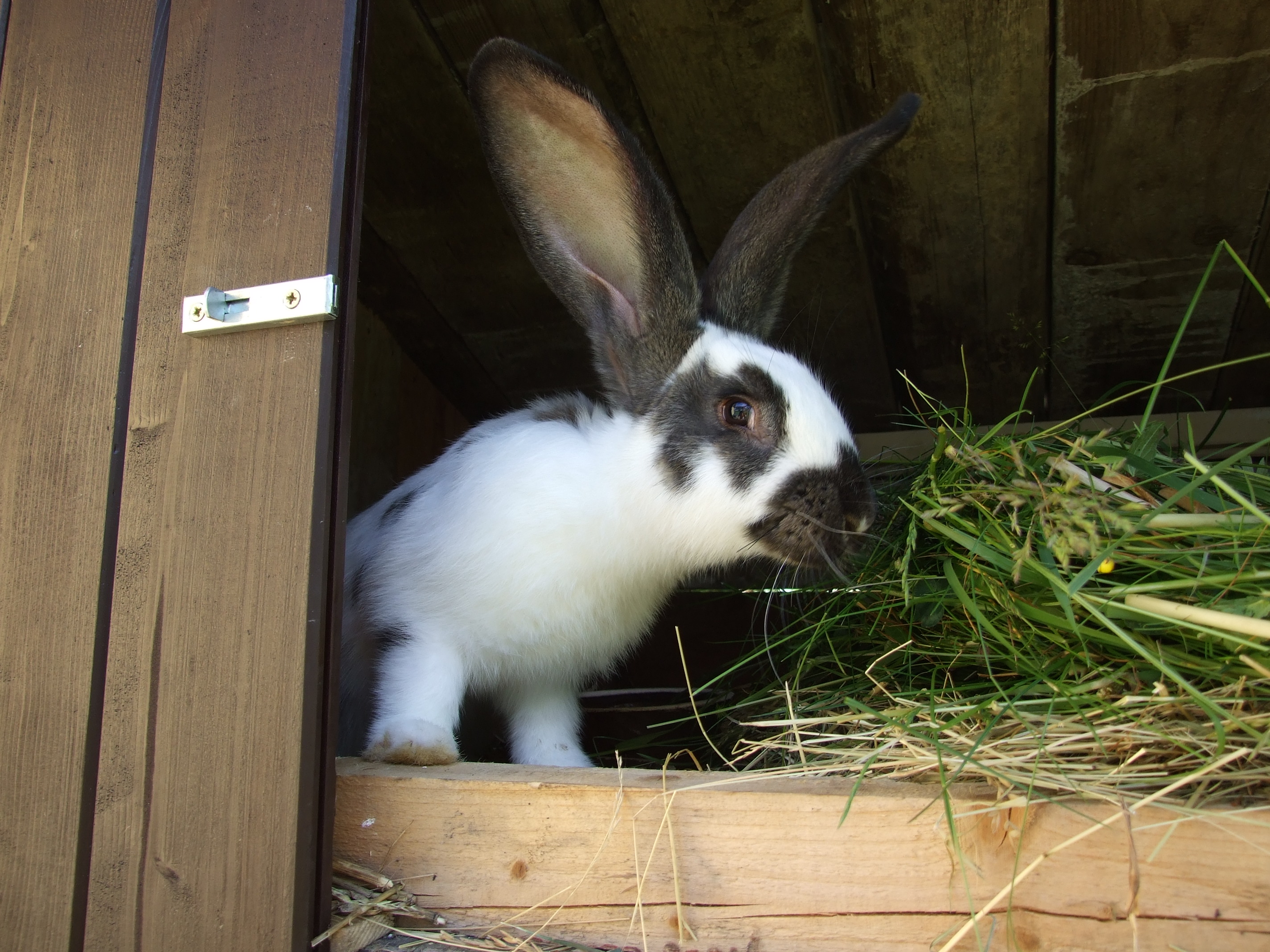 DSCF6256.JPG