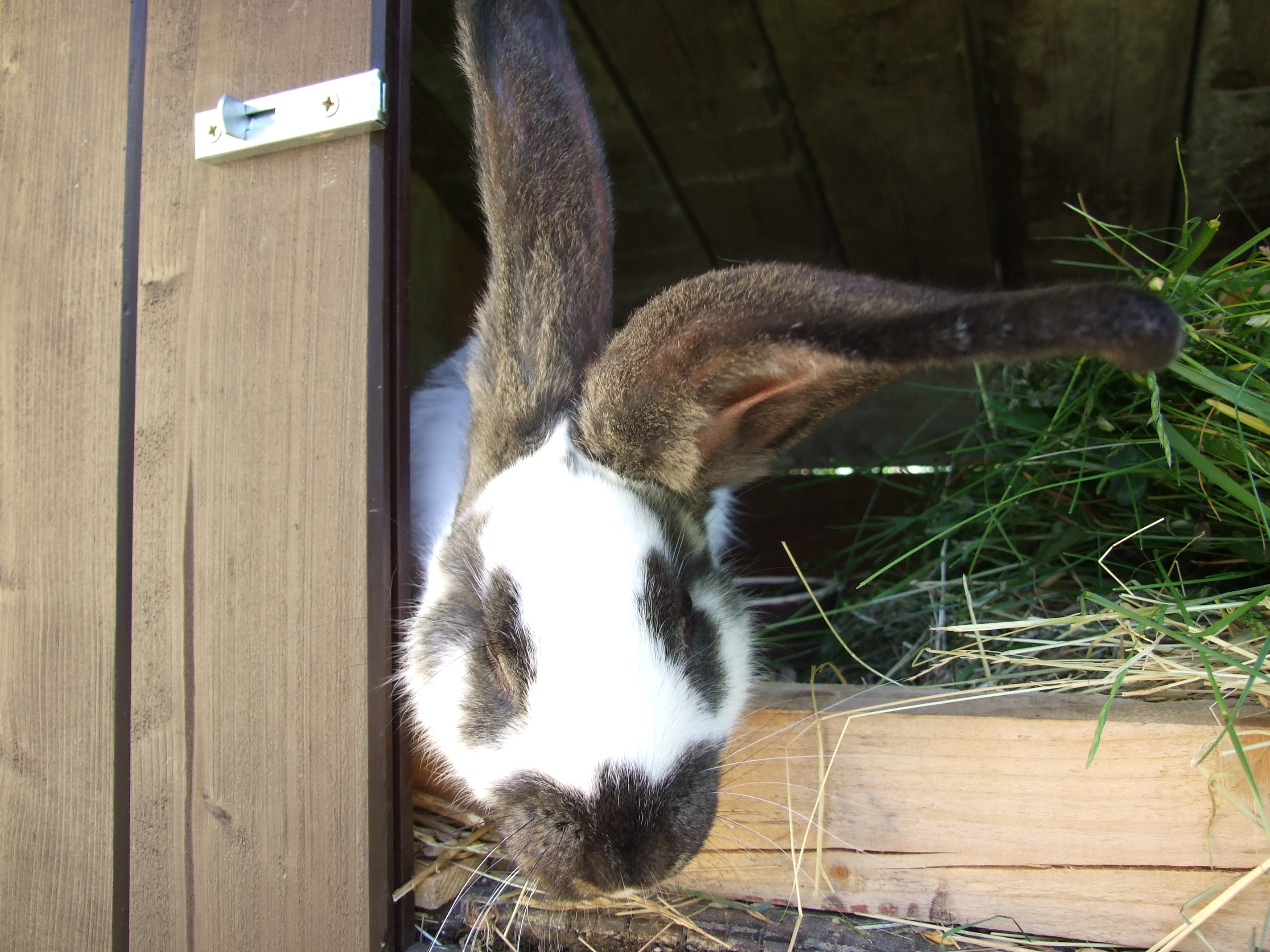 DSCF6255.JPG